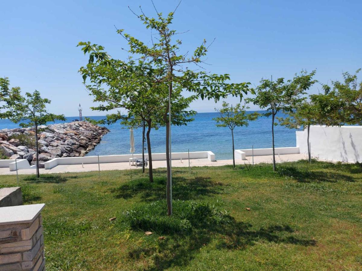 Pansion Alexandros By The Sea Aparthotel เนอา สกีโอนี ภายนอก รูปภาพ